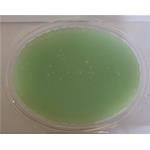 PARAFFINA PURA BASSOFONDENTE ALOE VERA MOLTO EFFICACE PER TRATTAMENTI SU MANI, PIEDI E GOMITI - USO PROFESSIONALE - 1000 ml