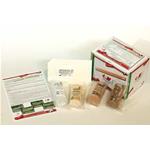 KIT ELASTOCOMPRESSIVO BASIC: GAMBALETTO (5 pz) - MONOUSO - CONTIENE UN SISTEMA MULTISTRATO DI TRATTAMENTO BASE PER TUTTE LE PATOLOGIE DA INSUFFICIENZA VENOSA - IDEALE PER MEDICI, INFERMIERI E FISIOTERAPISTI