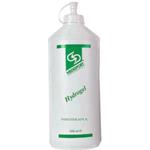 HYDROGEL LÖSLICH (1000 ml) - GEL WASSERLÖSLICH REICH AN SALZ VOM TOTEN MEER - GEEIGNET FUER PHYSIOTHERAPIE UND MASSAGE - NICHT FETTEND 