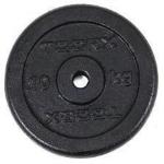 DISCO GHISA NERA - DIAMETRO FORO Ø 25 MM - KG 0,5